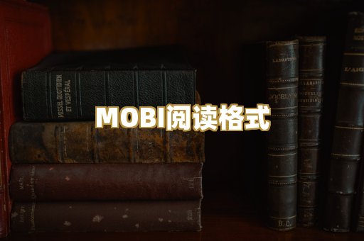 MOBI阅读格式