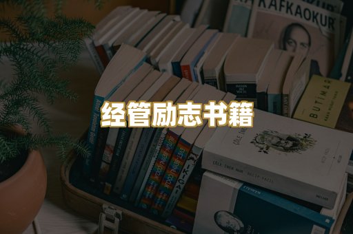 经管励志书籍